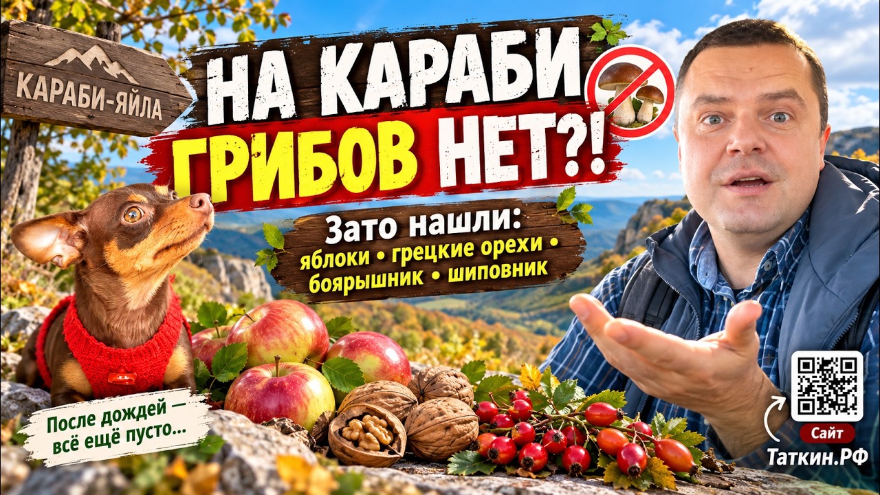 Обложка видео «🍄 Караби-яйла без грибов: что нашли вместо них | Крым, сентябрь 2026»